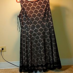 NEW WISE TAGS. BRAND KENSIA Dress kensie